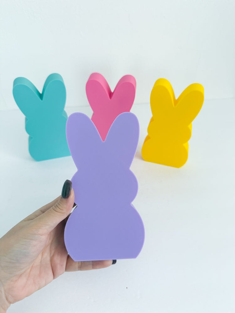 Easter Bunny Photo Props