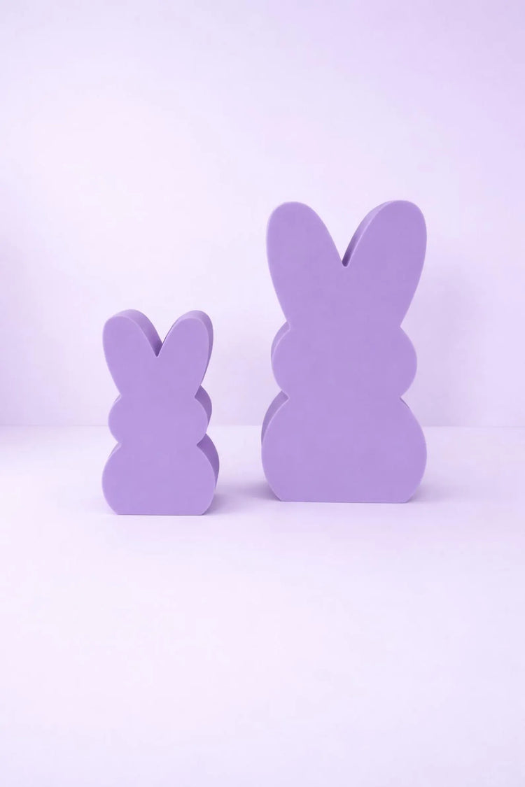 Easter Bunny Photo Props