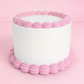 Faux Cake Photo Prop