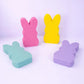 Easter Bunny Photo Props