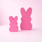 Easter Bunny Photo Props