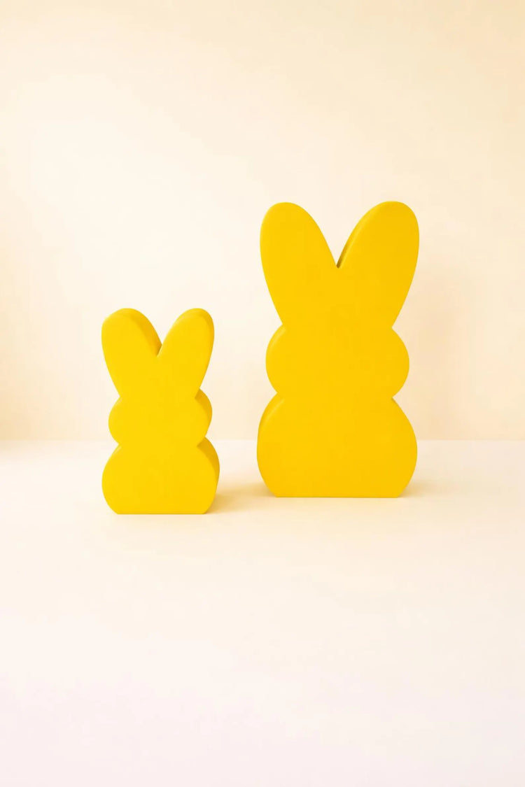 Easter Bunny Photo Props