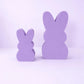Easter Bunny Photo Props